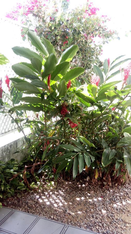 Pousada Terra De Minas Natal Eksteriør bilde